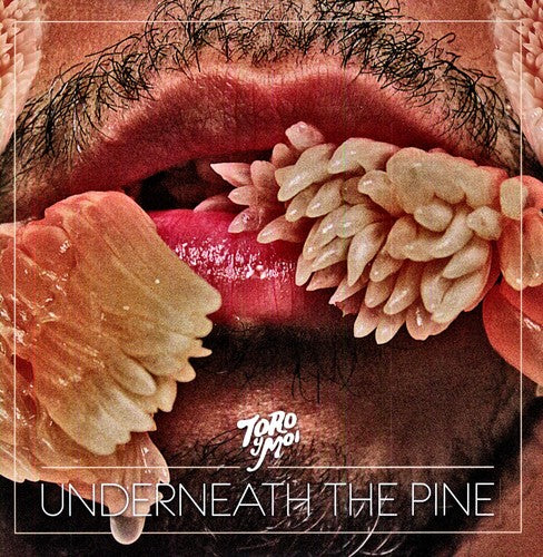 Toro y Moi - Underneath the Pine | Vinyl