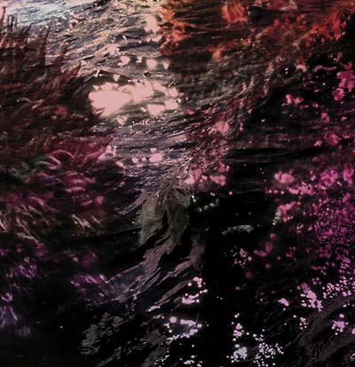 RICARDO TOBAR - Treillis | Vinyl