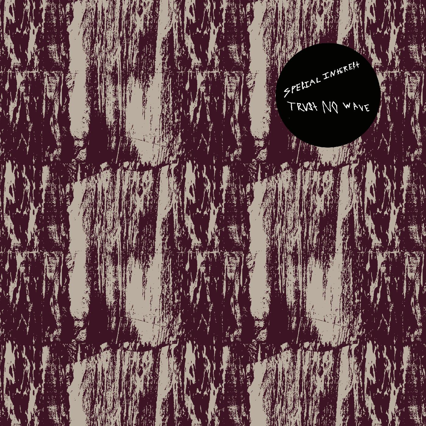 Special Interest - Trust No Wave | Vinyl