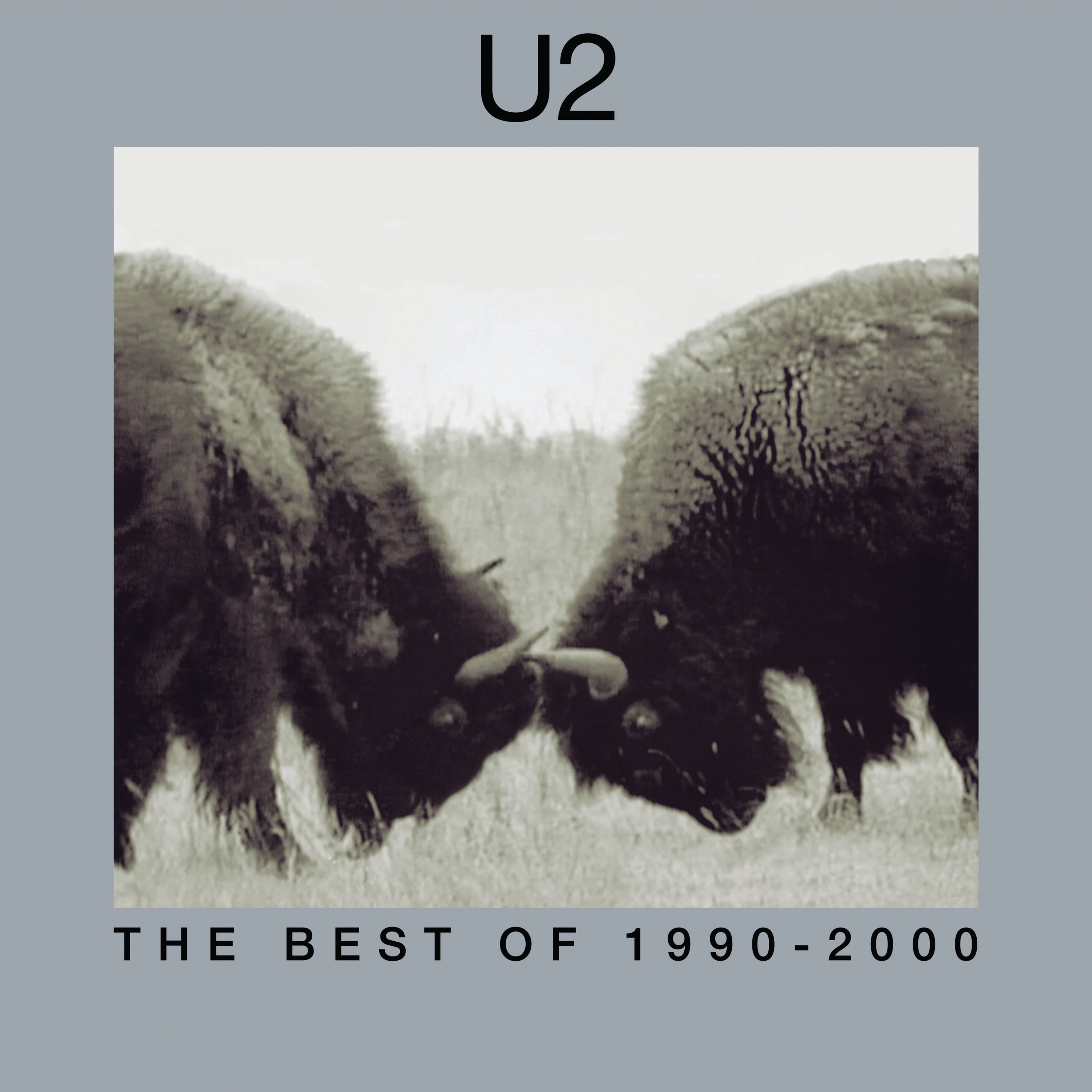 U2 - The Best Of 1990-2000 (180 Gram Vinyl) (2 Lp's) | Vinyl