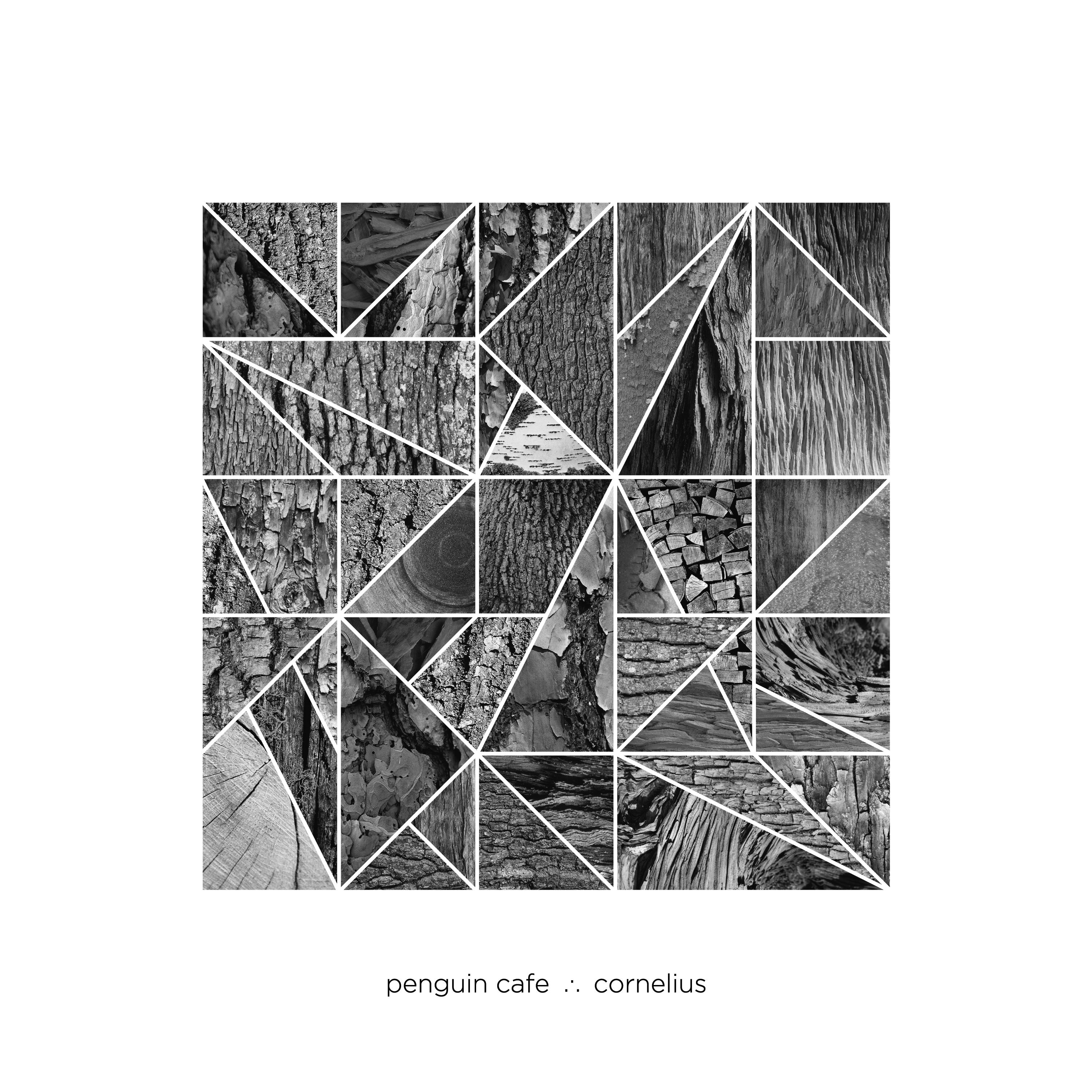 Penguin Cafe & Cornelius - Umbrella EP | CD