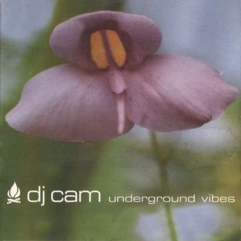 DJ Cam - Underground Vibes | Vinyl