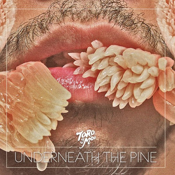 Toro y Moi - Underneath The Pine | CD