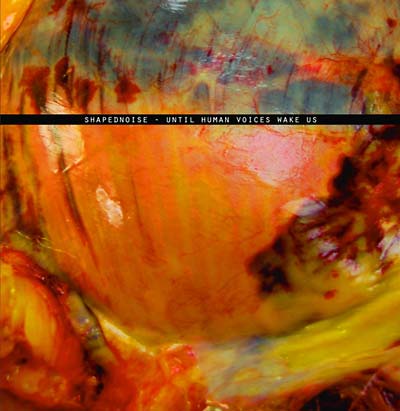 SHAPEDNOISE - Until Human Voices Wake Us | Vinyl