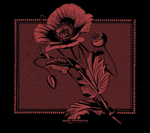 KOLLAPS - Until The Day I Die | CD