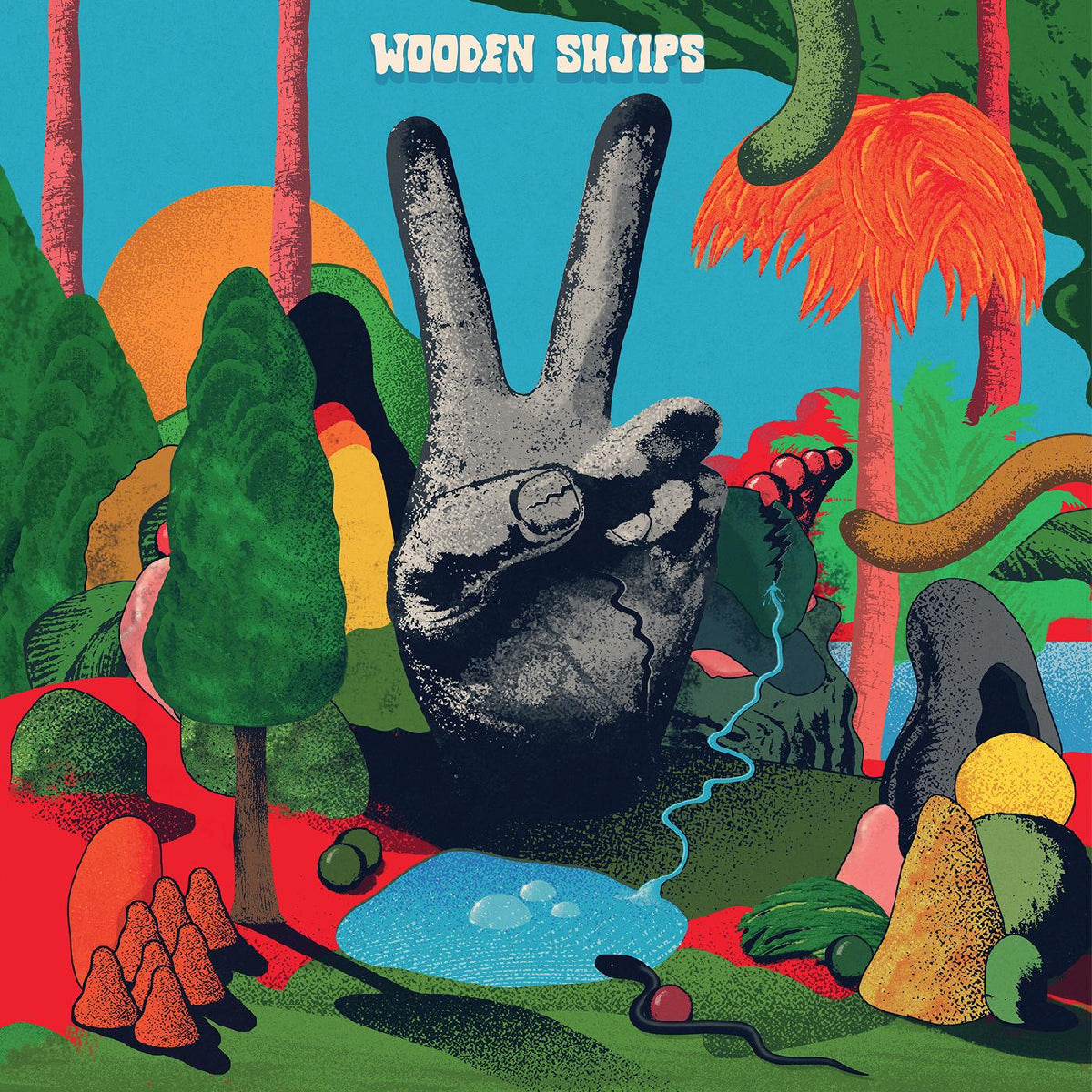 Wooden Shjips - V. | CD