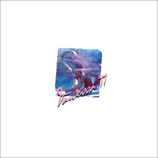 VANESSA WORM - Vanessa 77 | Vinyl
