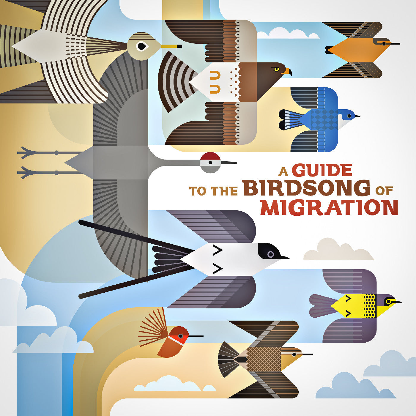 Various Artists | A Guide To The Birdsong Of Migration | Vinyl