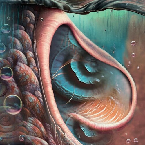 Various Artists - Meddle Reimagined: A Tribute To Pink Floyd (Colored Vinyl) | Vinyl