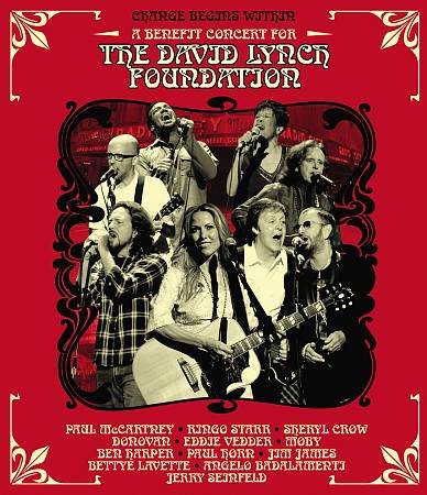 VARIOUS - CHANGE BEGINS WITHIN | DVD