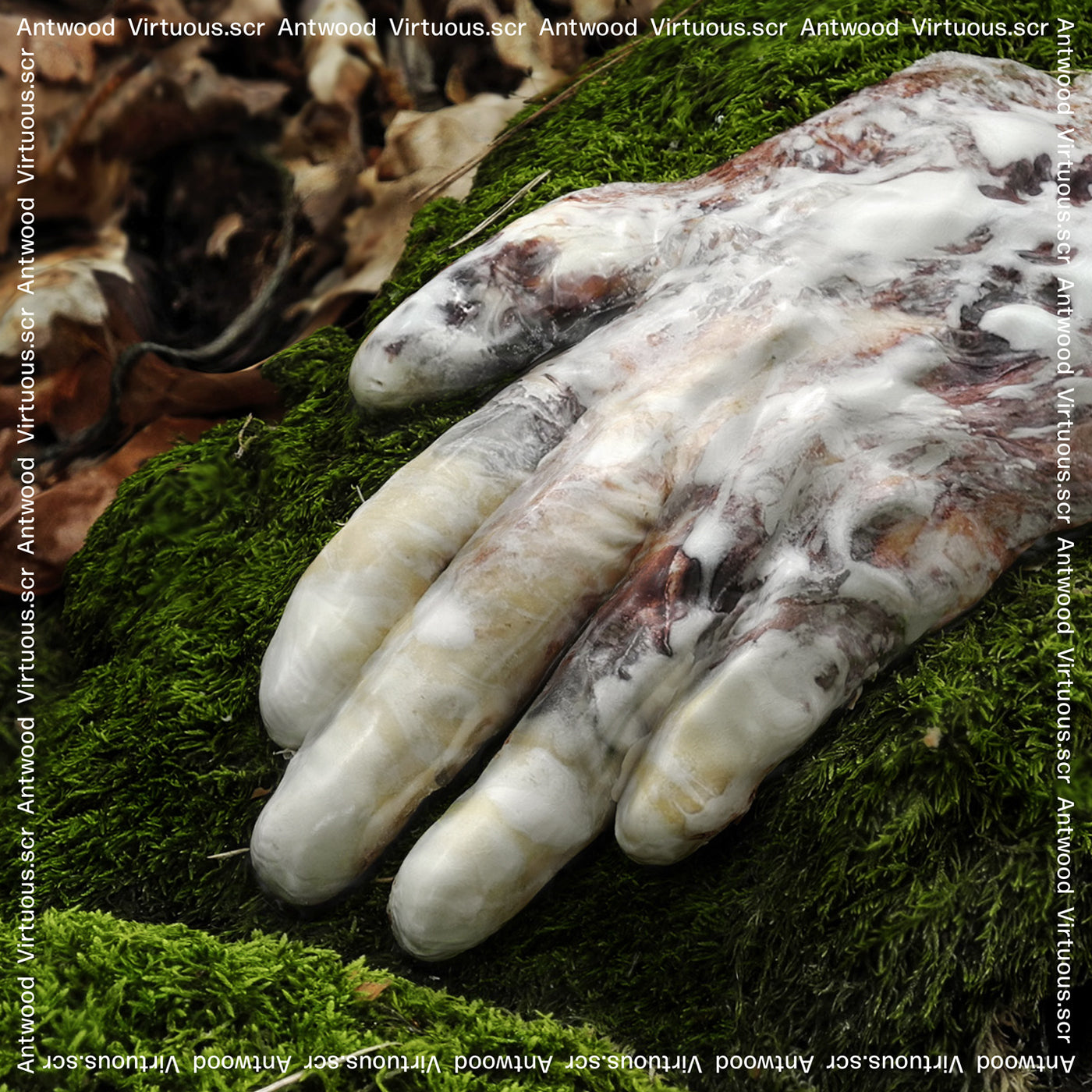 Antwood - Virtuous.scr | Vinyl