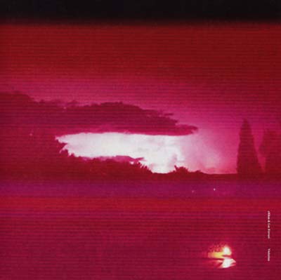 ERIKM & LUC FERRARI - Visitation | Vinyl