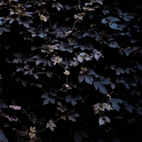Michael Vallera - Vivid Flu | Vinyl