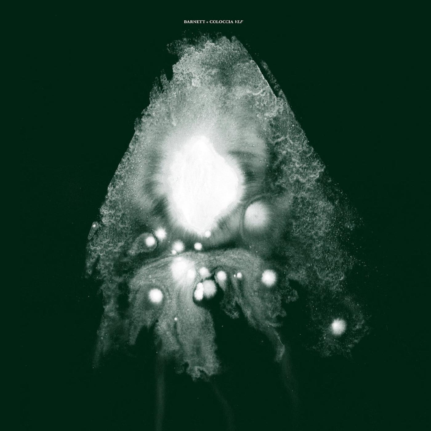 Barnett & Coloccia - VLF | Vinyl