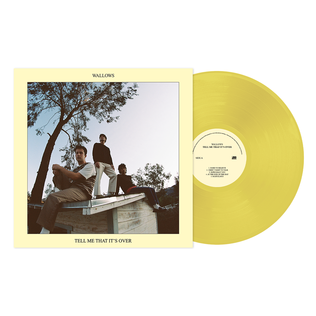 Wallows - Tell Me That It's Over | Vinyl