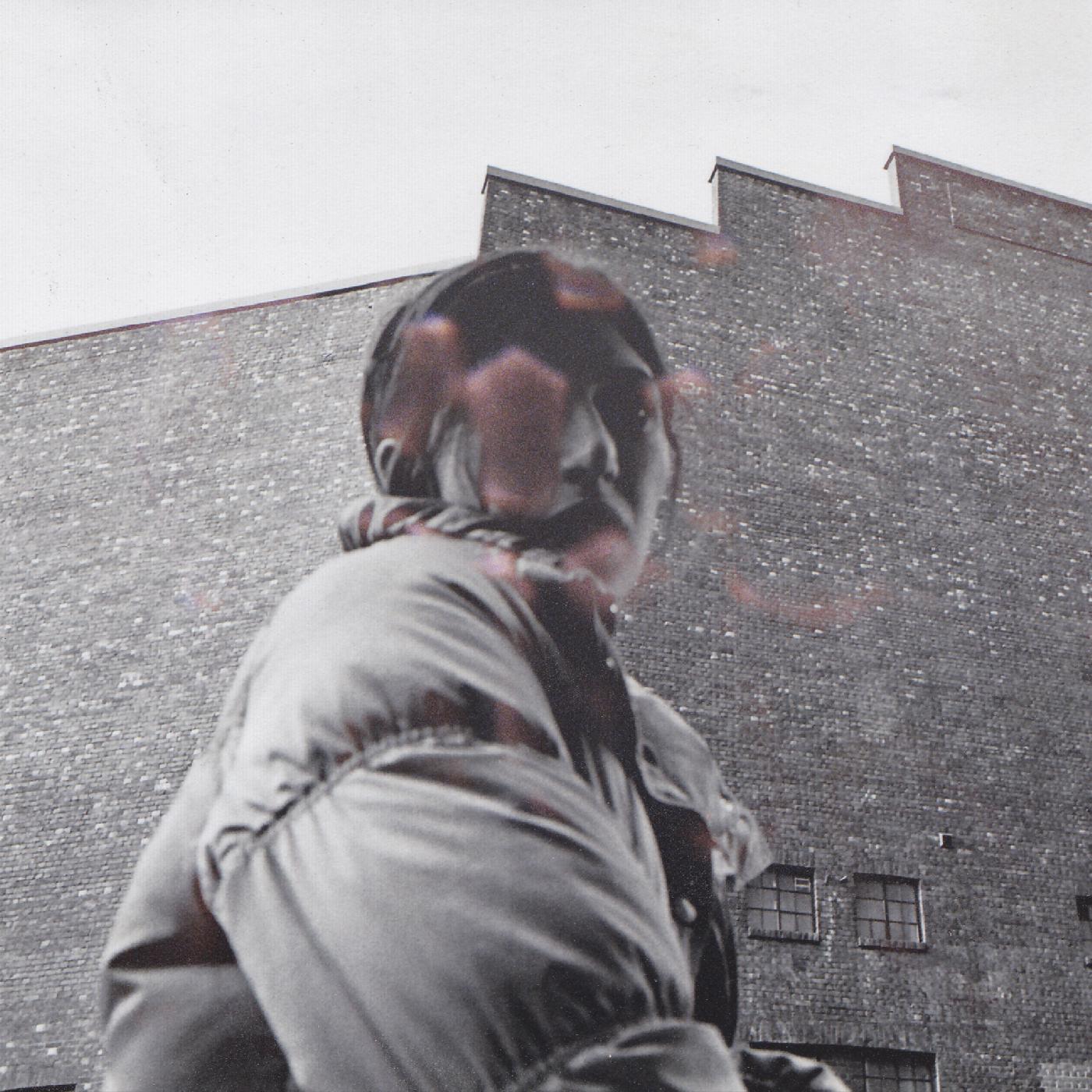 Aldous Harding - Warm Chris | CD