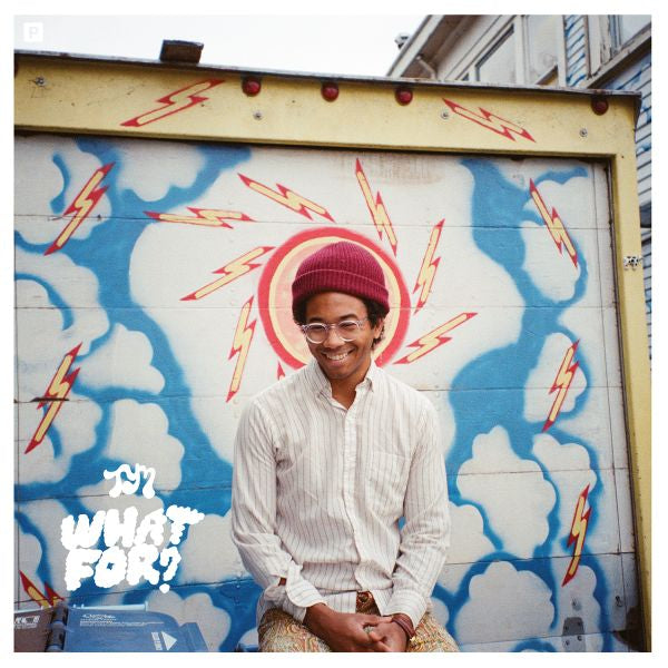 Toro y Moi - What For? | CD