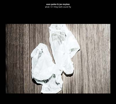 EVAN PARKER & JOE MCPHEE - What/If/They Both Could Fly | CD