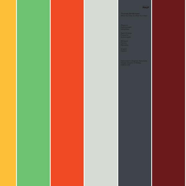 THOMAS BRINKMANN - What You Hear (Is What You Hear) | Vinyl