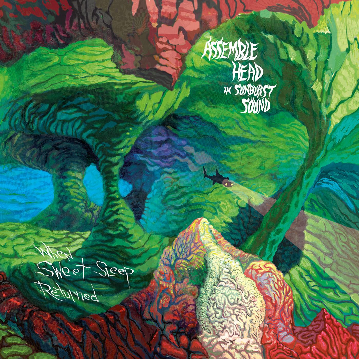 Assemble Head In Sunburst Sound - When Sweet Sleep Returned | Vinyl