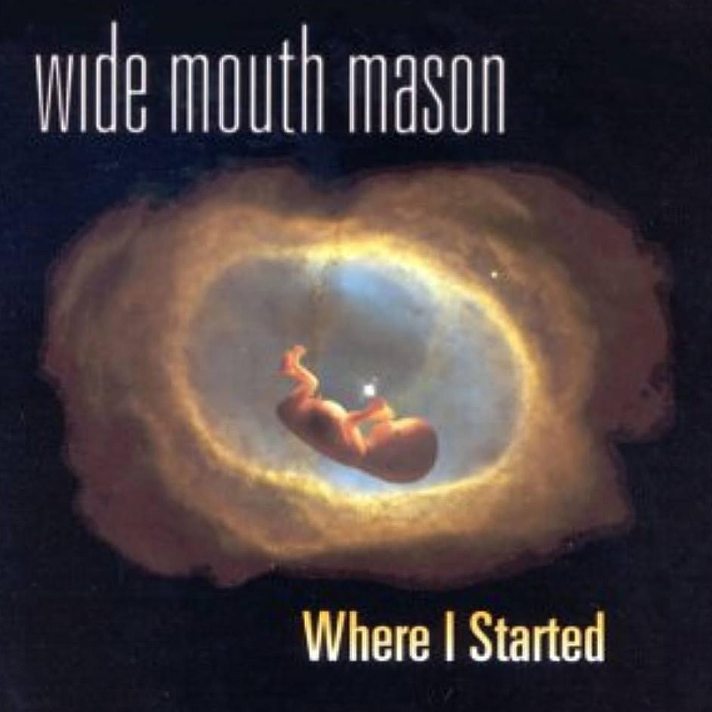 Wide Mouth Mason - Where I Started | Vinyl