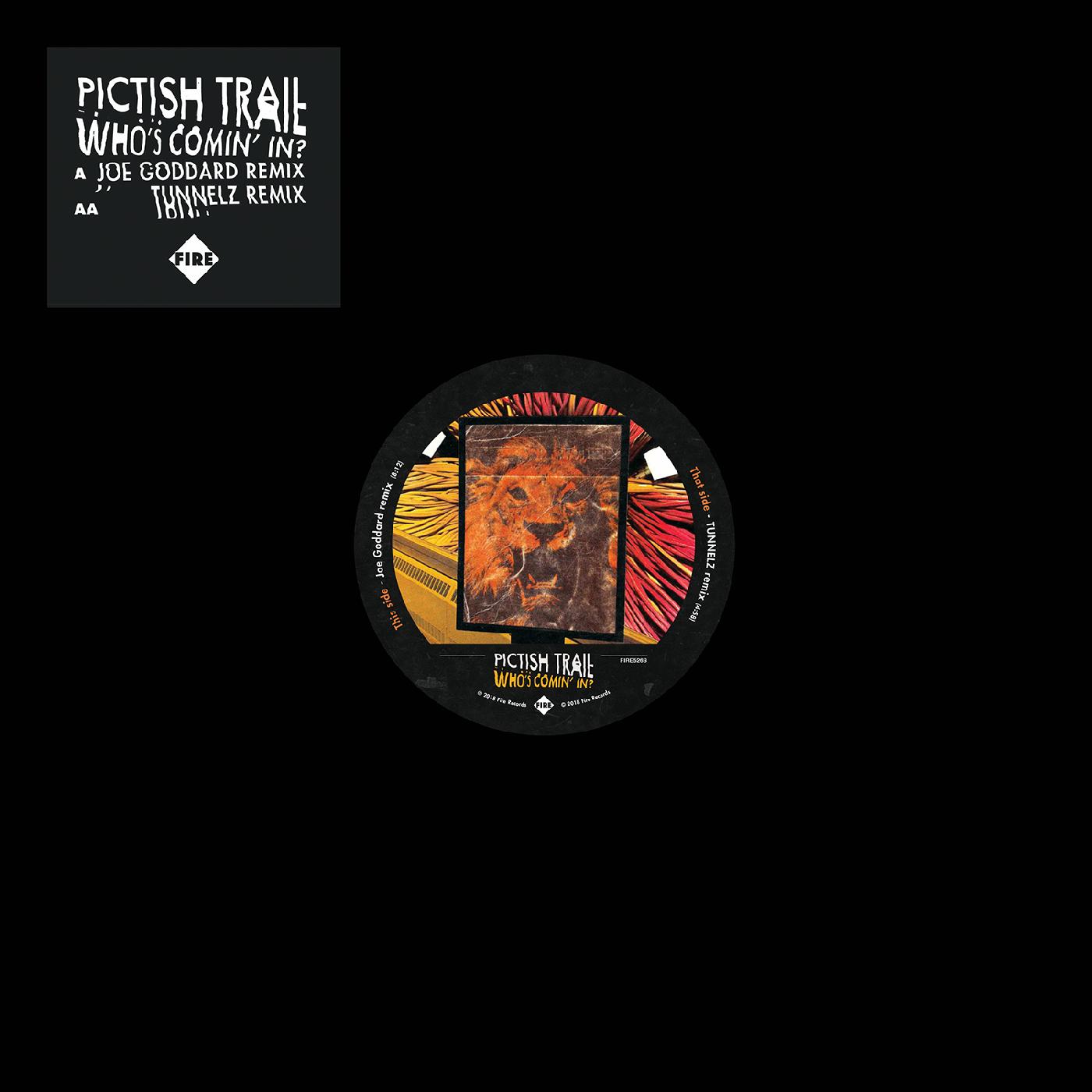 Pictish Trail - Who's Comin' In? | Vinyl