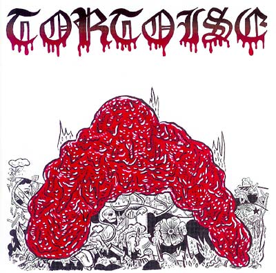 TORTOISE - Why Waste Time? | CD