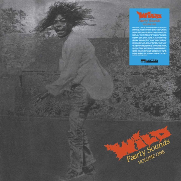VA - Wild Paarty Sounds Volume One | Vinyl