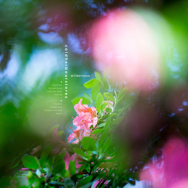COLDHARBOURSTORES - Wilderness | Vinyl