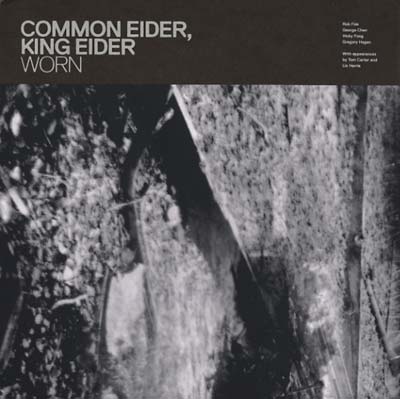 COMMON EIDER, KING EIDER - Worn | Vinyl