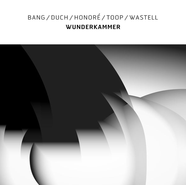 Bang/Duch/Honore/Toop/Wastell - Wunderkammer | Vinyl