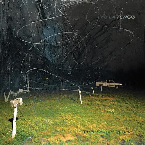 Yo La Tengo - This Stupid World (2 Lp's) | Vinyl