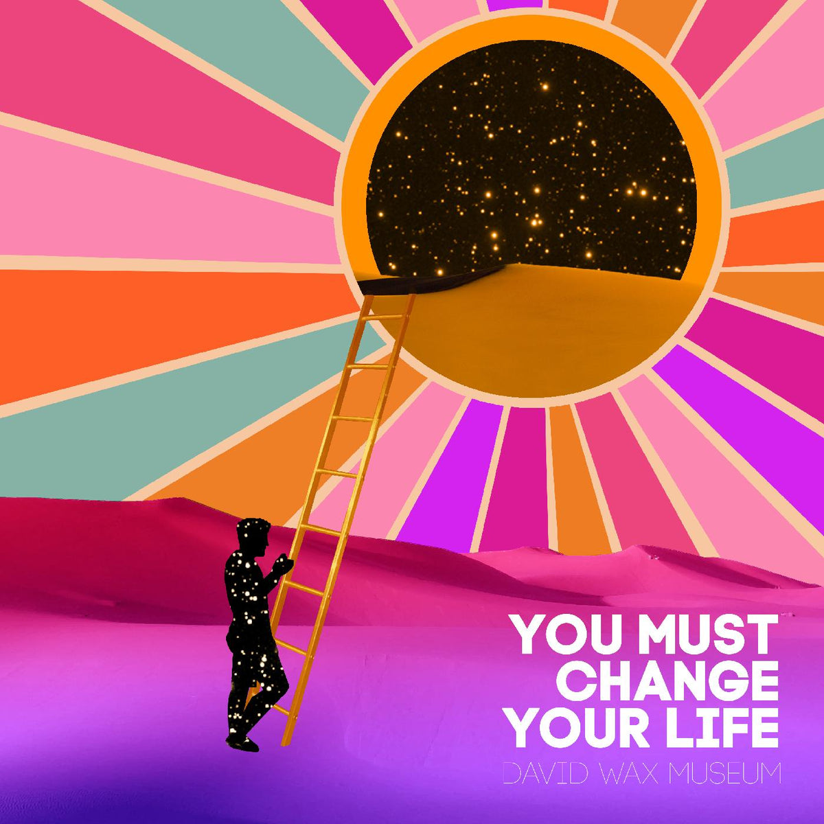David Wax Museum - You Must Change Your Life | Vinyl