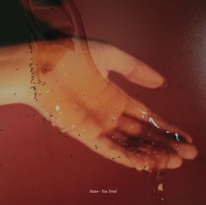 Hater - You Tried | Vinyl