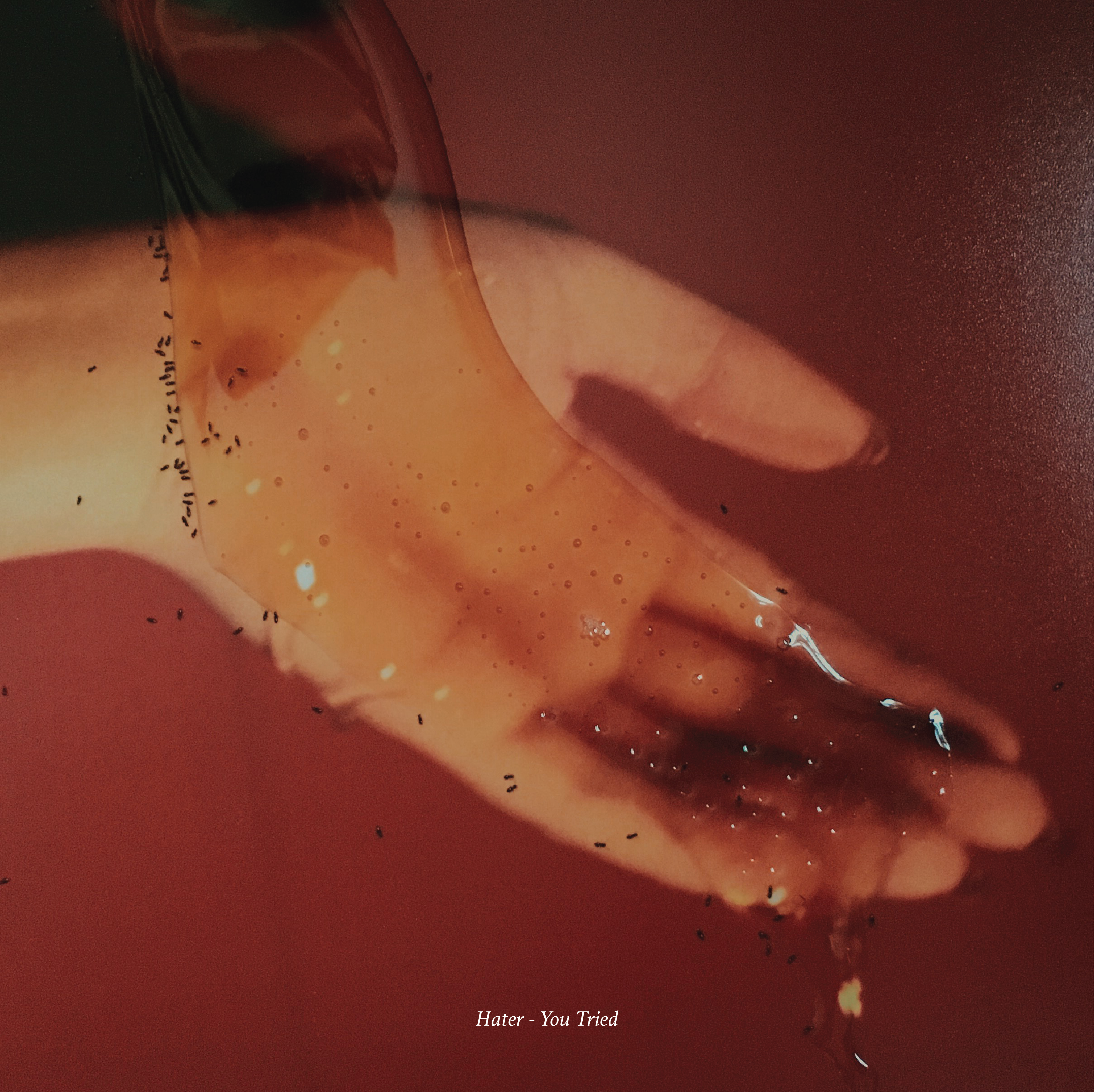 Hater - You Tried | CD