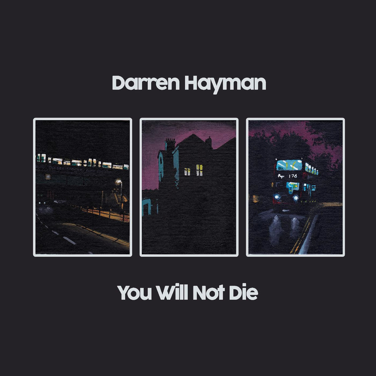 Darren Hayman - You Will Not Die | CD