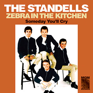 The Standells - Zebra in the Kitchen / Someday You'll Cry | Vinyl