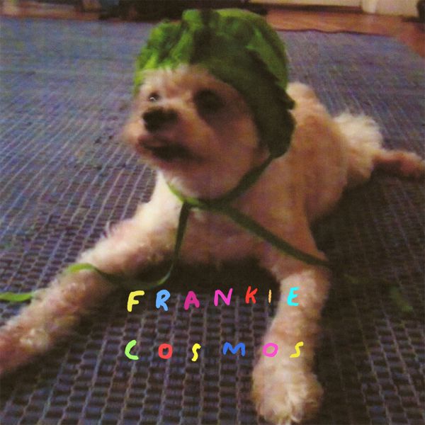 Frankie Cosmos - Zentropy | CD