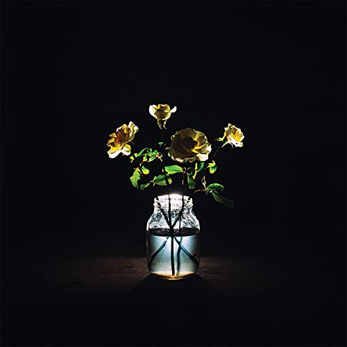 Billy Strings | Renewal (180 Gram Vinyl) (2 Lp's) | Vinyl
