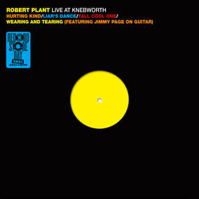 Plant, Robert | Live At Knebworth 1990 | Vinyl