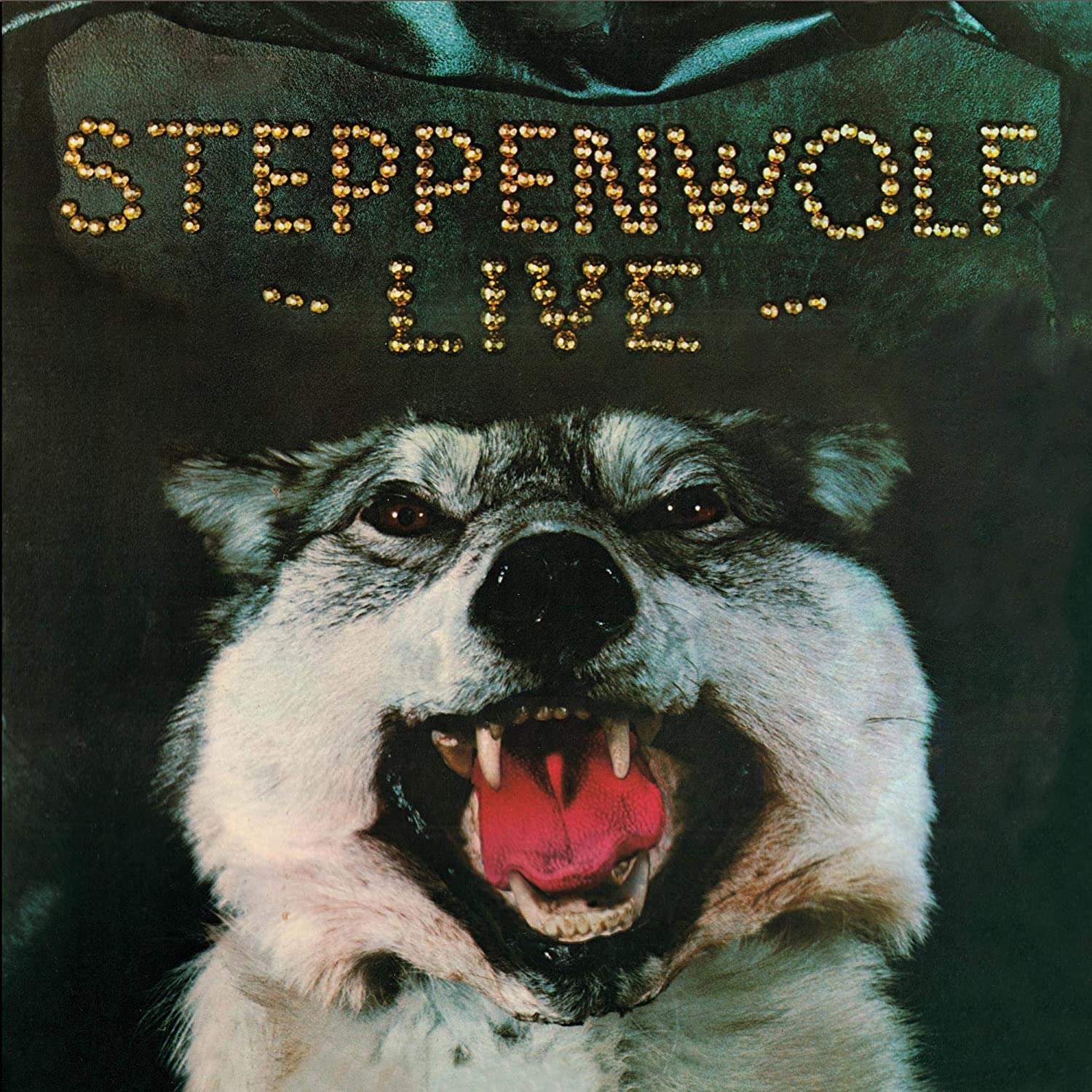 Steppenwolf | Steppenwolf Live (180 Gram Vinyl, Audiophile, Limited Edition, Gatefold LP Jacket, Anniversary Edition) | Vinyl