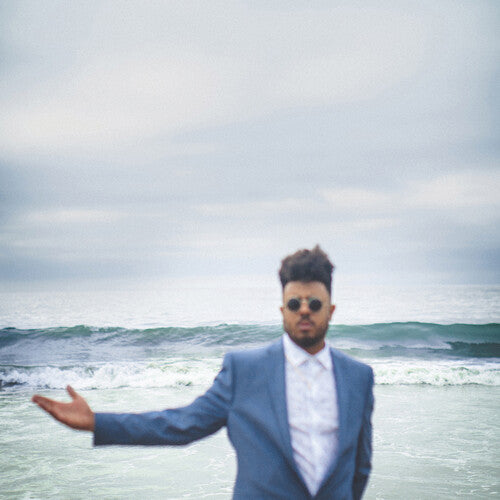 Blu | The Color Blu(e) (2 Lp's) | Vinyl