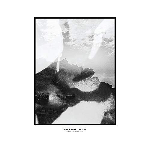 Hippo Campus | The Halocline Eps | Vinyl