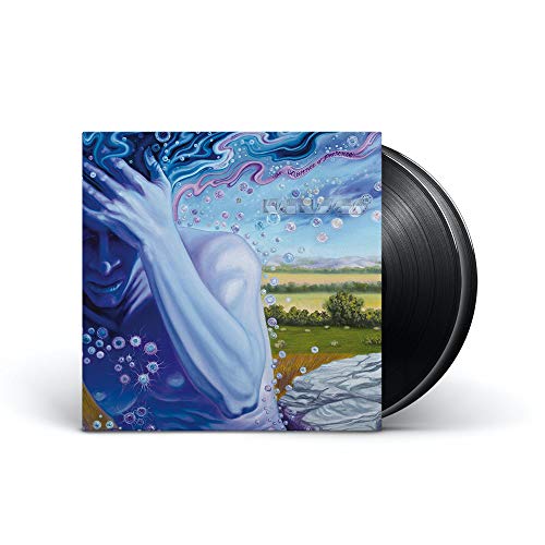 Kansas | The Absence Of Presence (With Booklet, 180 Gram Vinyl, Gatefold LP Jacket) | Vinyl