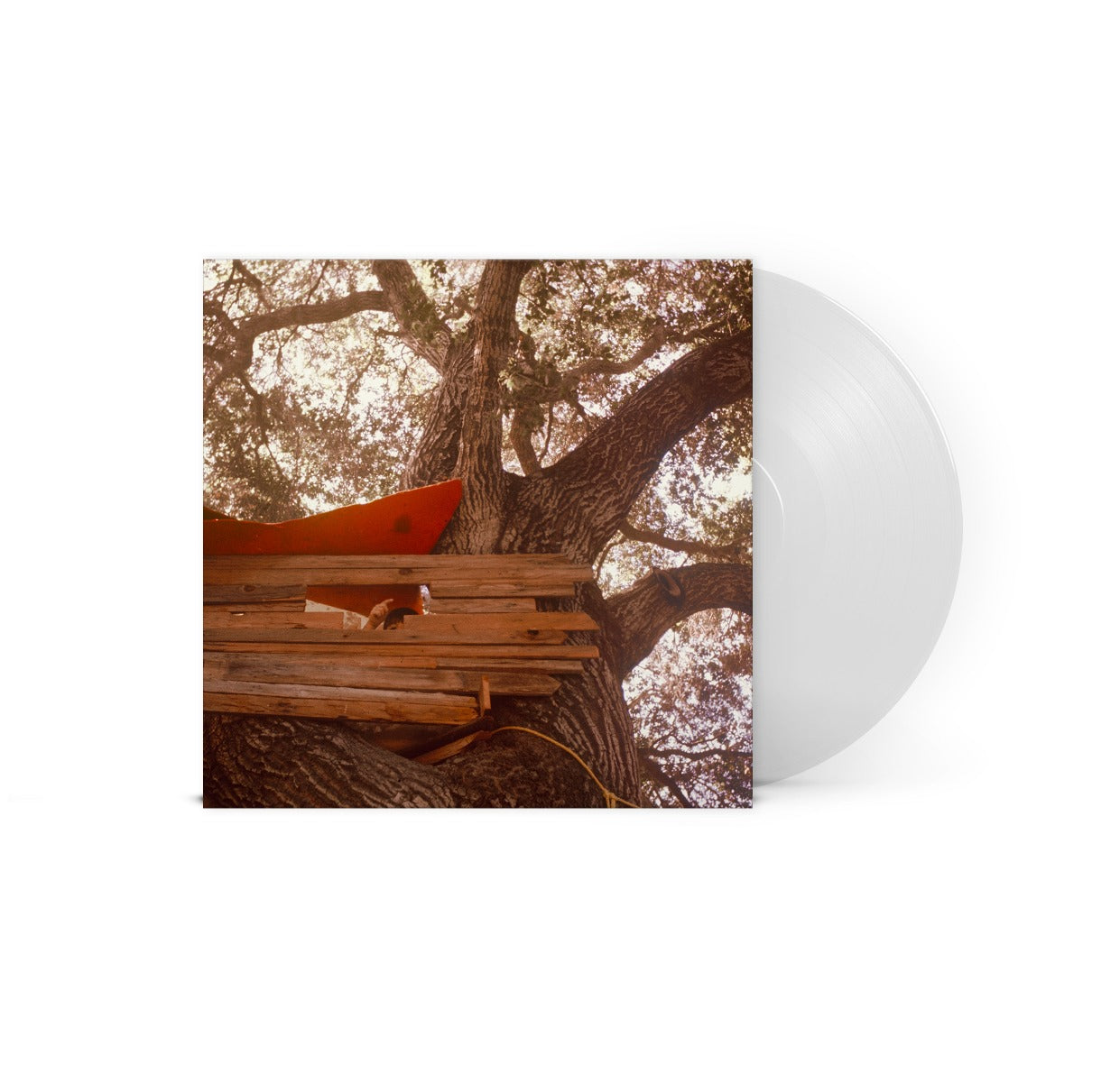 Backseat Lovers Waiting to Spill Indie Exclusive Clear Vinyl Record