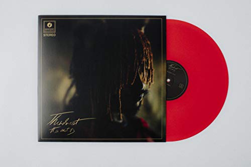 Thundercat | It Is What It Is (Colored Vinyl, Red, 140 Gram Vinyl, Photos) | Vinyl