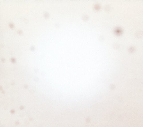 Yo La Tengo | There's A Riot Going On | Vinyl