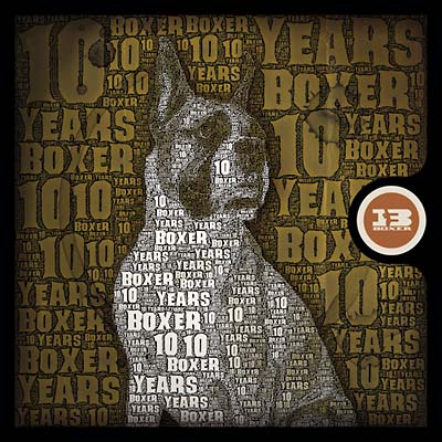 VA | 10 Years Of Boxer | CD