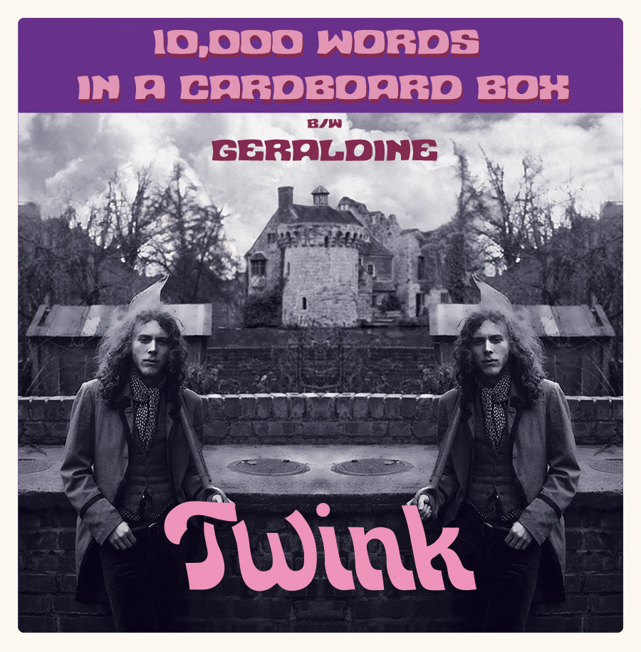 Twink | 10,000 Words In A Cardboard Box | Vinyl