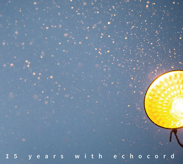 VA | 15 Years With Echocord | Vinyl